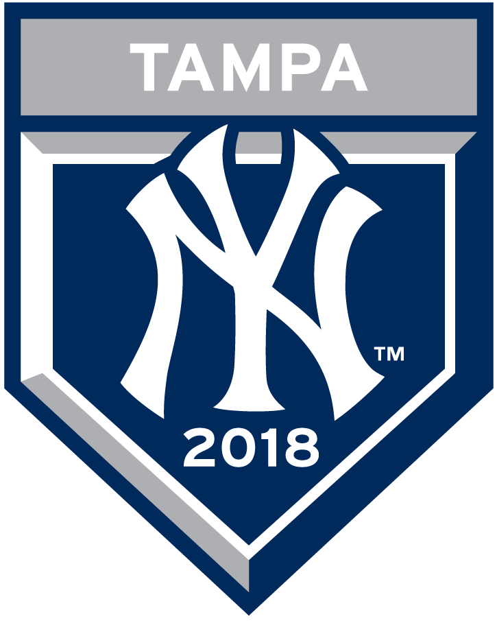 New York Yankees 2018 Event Logo iron on paper